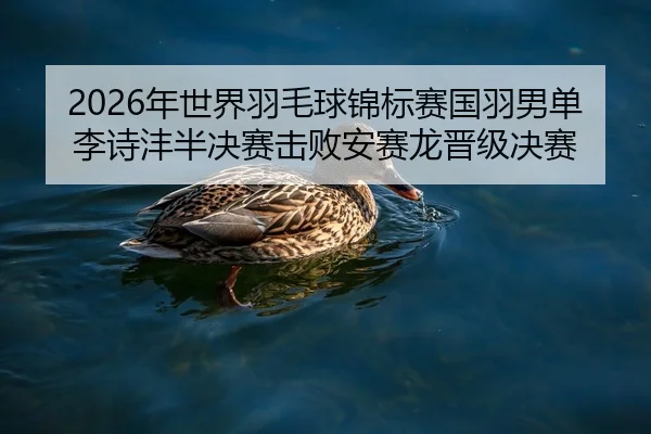 2026年世界羽毛球锦标赛国羽男单李诗沣半决赛击败安赛龙晋级决赛